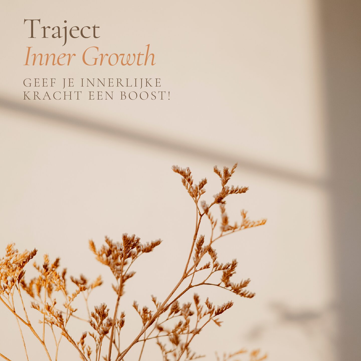 Traject - Inner Growth