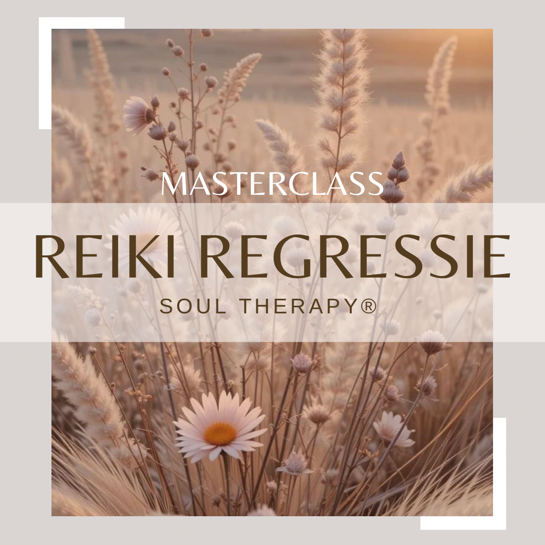 Masterclass Reiki Regressie Soul Therapy®
